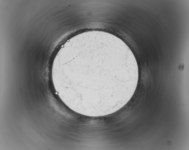 X0000113750584200910211148