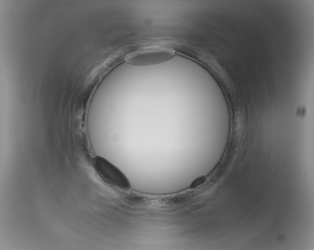 X0000113750585200910211148