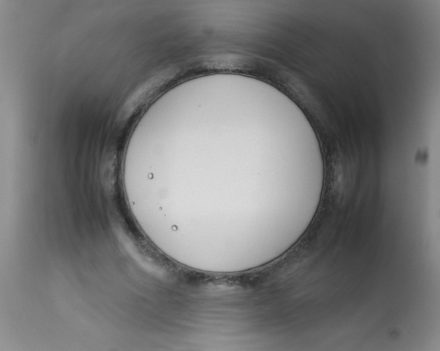 X0000113750586200910211148