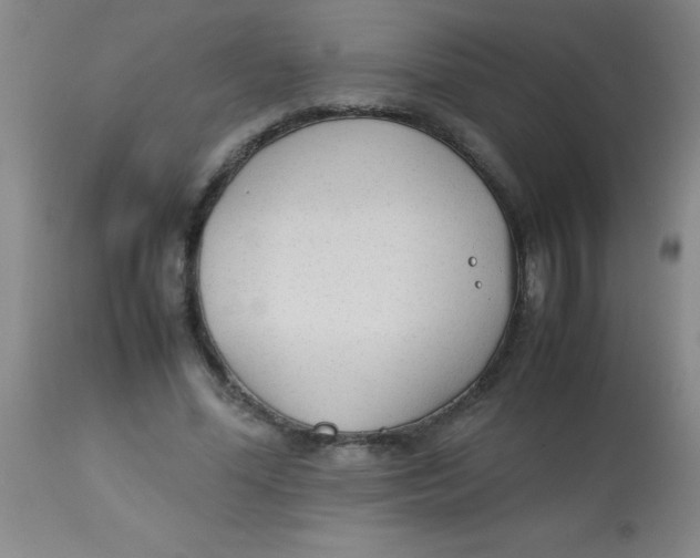 X0000113750588200910211148