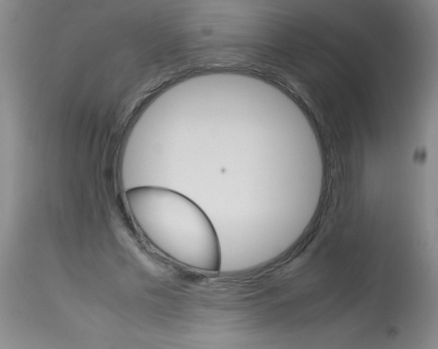 X0000113750589200910211148