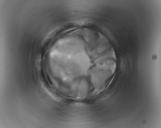 X0000113750590200910211148