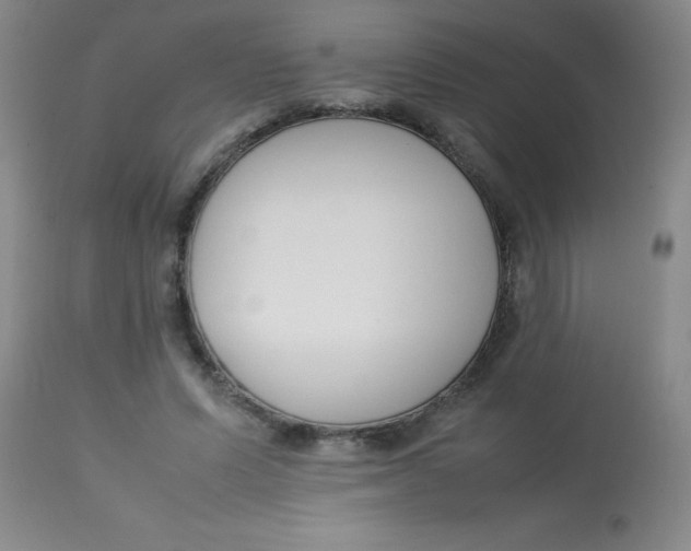 X0000113750591200910211148