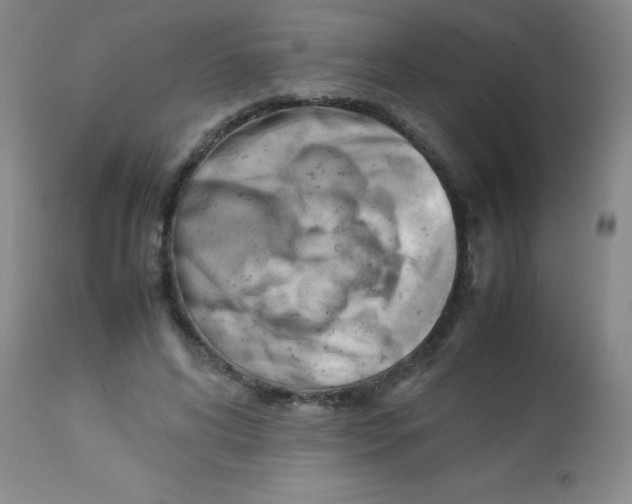 X0000113750592200910211148