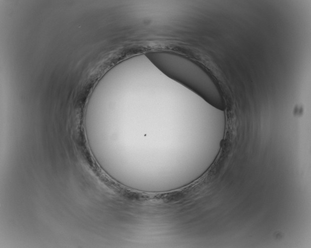 X0000113750593200910211148