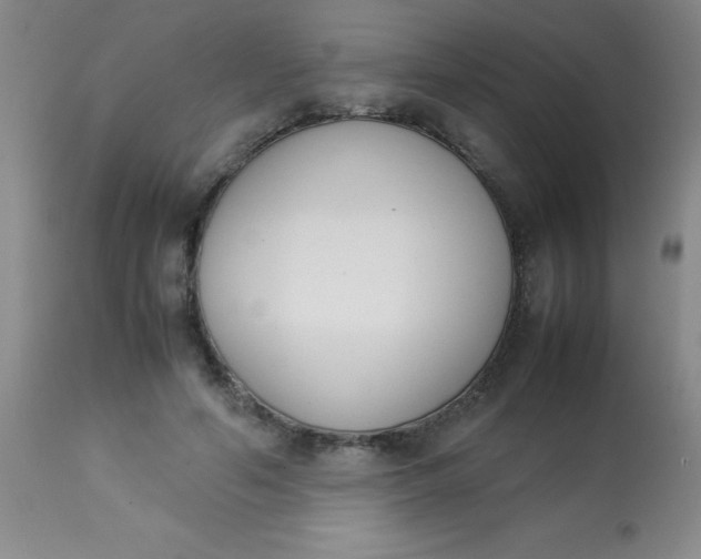 X0000113750594200910211148