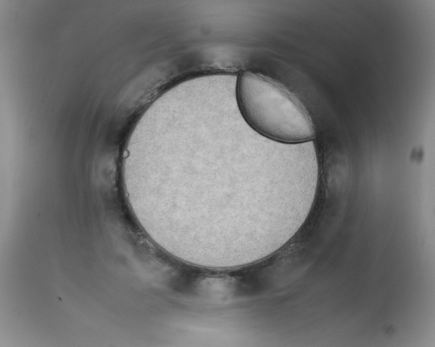 X0000113750595200910211148