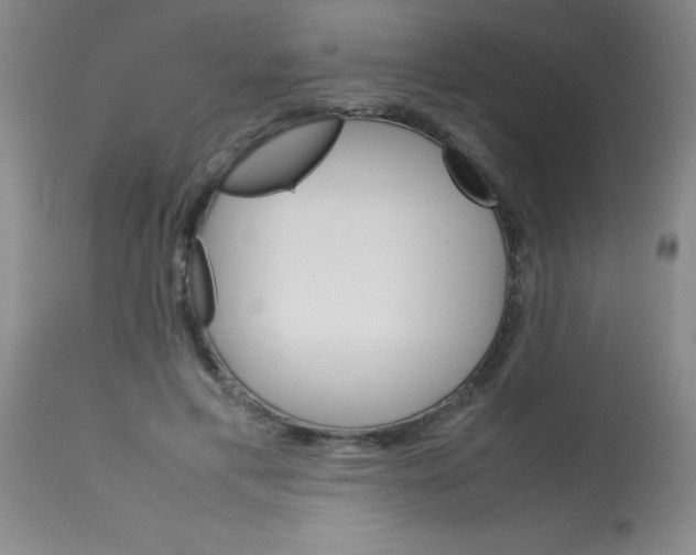 X0000113750597200910211148