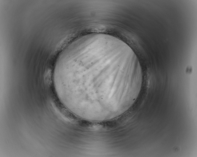 X0000113750598200910211148