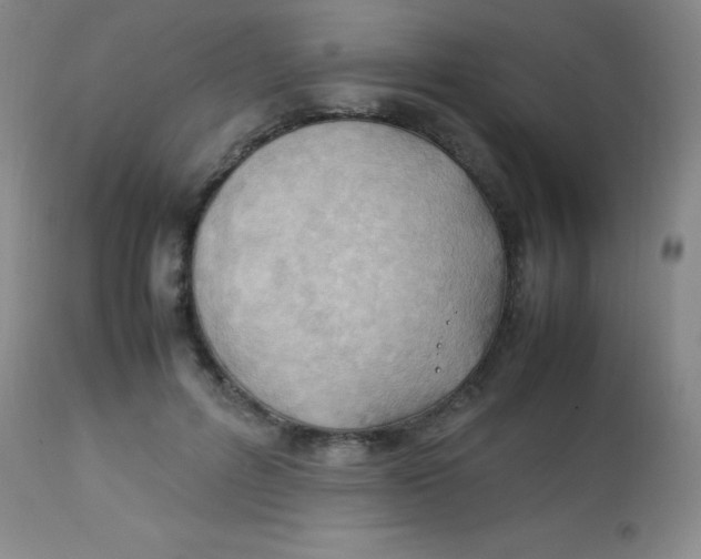 X0000113750600200910211148