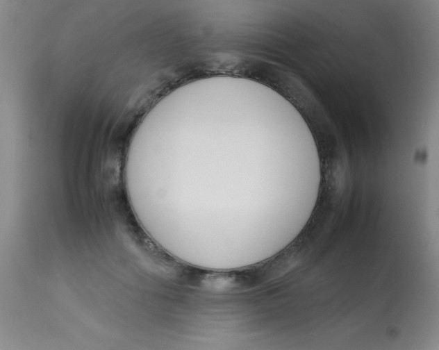 X0000113750602200910211148