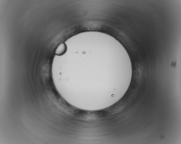 X0000113750604200910211148