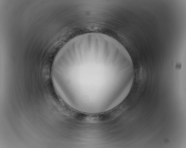 X0000113750606200910211148