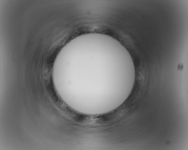 X0000113750607200910211148