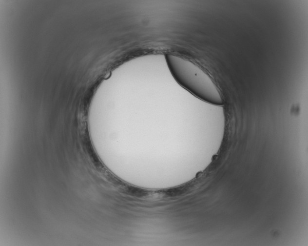 X0000113750609200910211148