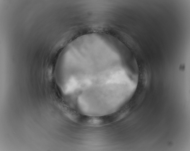 X0000113750610200910211148