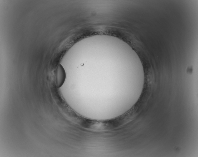 X0000113750611200910211148