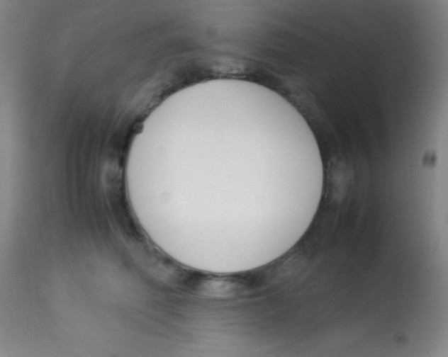 X0000113750614200910211148