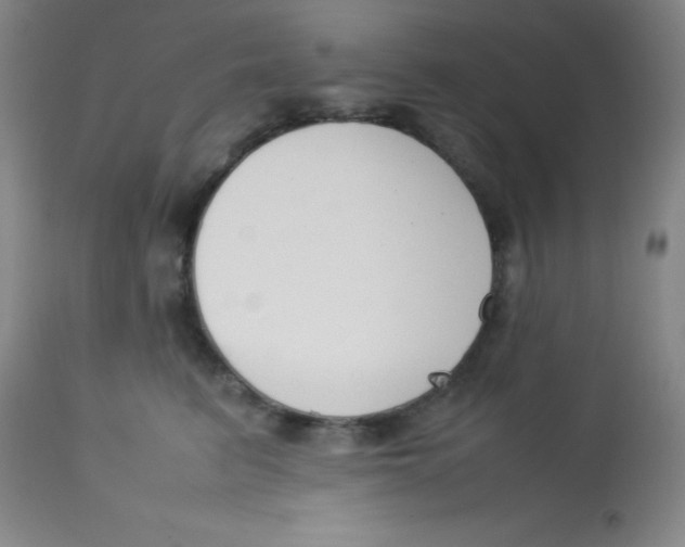 X0000113750615200910211148