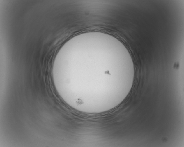 X0000113750617200910211148