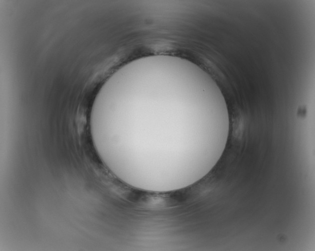 X0000113750618200910211148