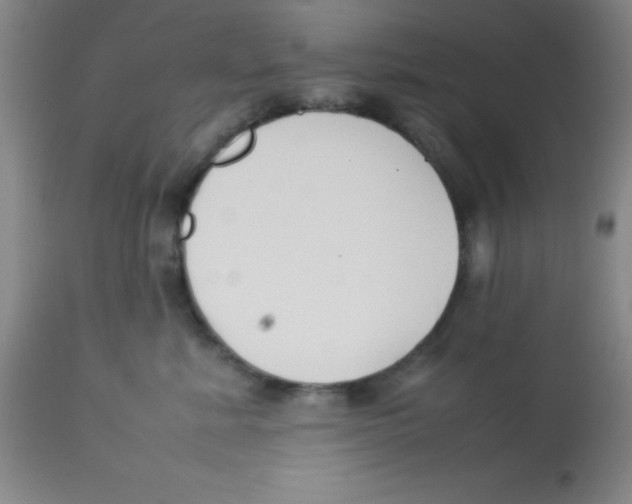 X0000113750619200910211148