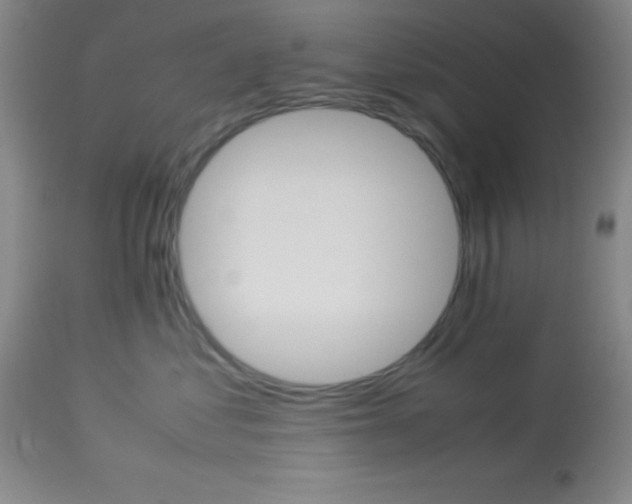 X0000113750621200910211148