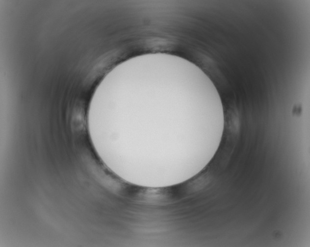 X0000113750622200910211148