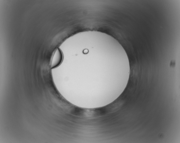 X0000113750623200910211148