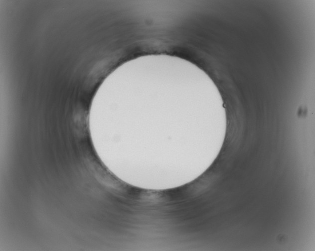 X0000113750624200910211148