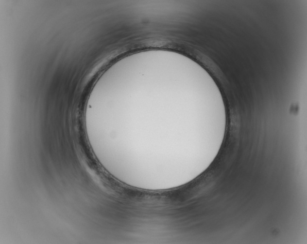 X0000113750626200910211147