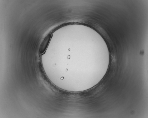 X0000113750628200910211147