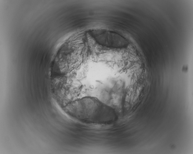 X0000113750629200910211147