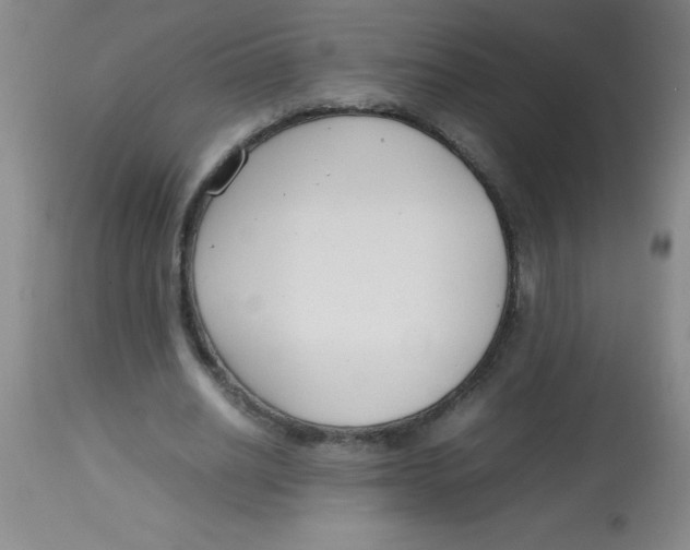 X0000113750630200910211147