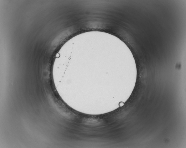 X0000113750635200910211147