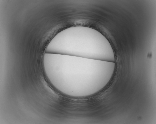 X0000113750637200910211147