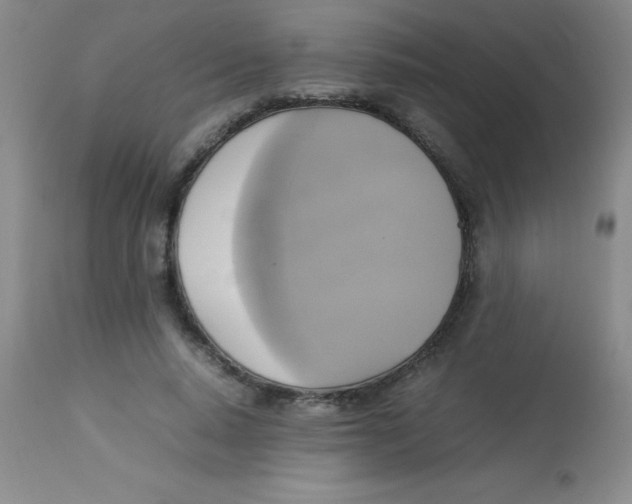 X0000113750640200910211147