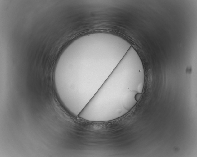 X0000113750641200910211147