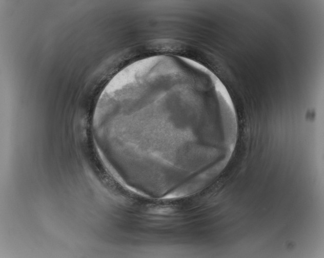 X0000113750643200910211147