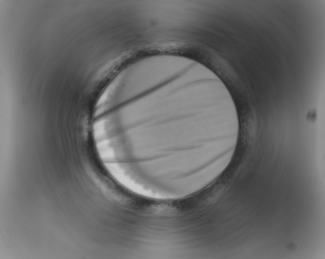 X0000113750644200910211147