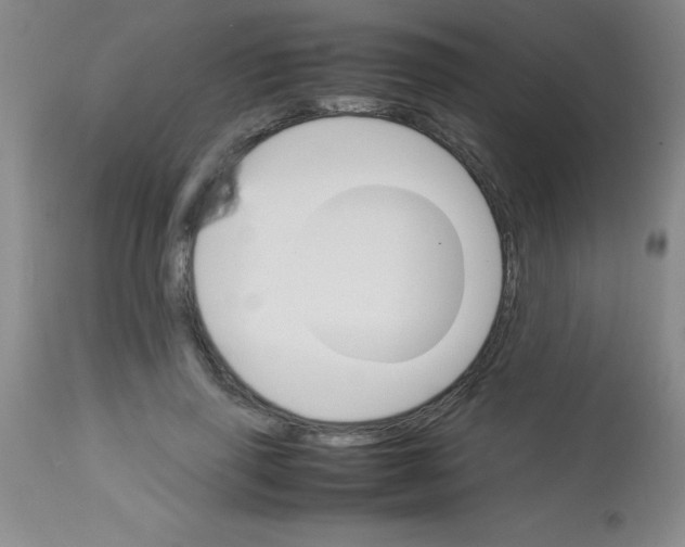 X0000113750645200910211147