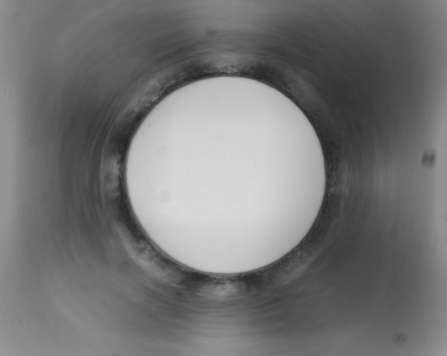 X0000113750646200910211147