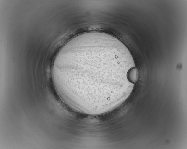 X0000113750648200910211147