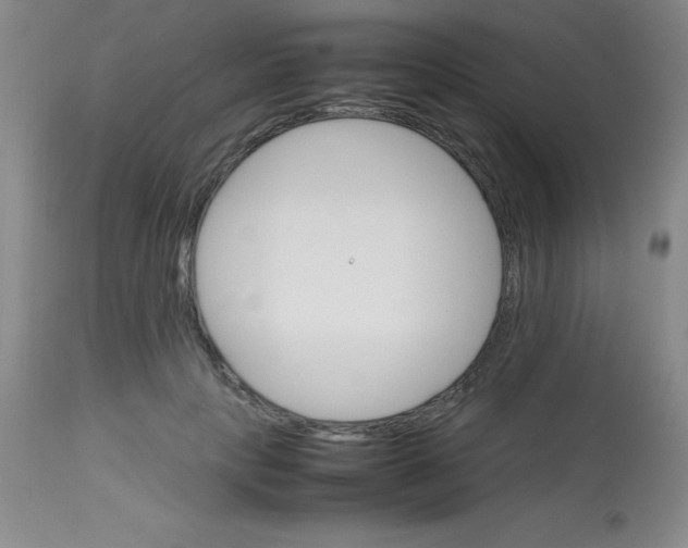 X0000113750649200910211147