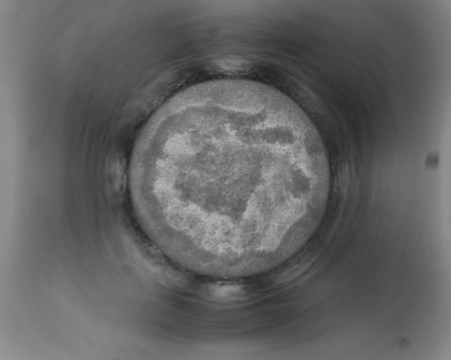 X0000113750651200910211147