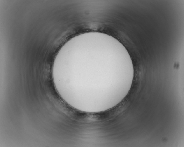 X0000113750656200910211147