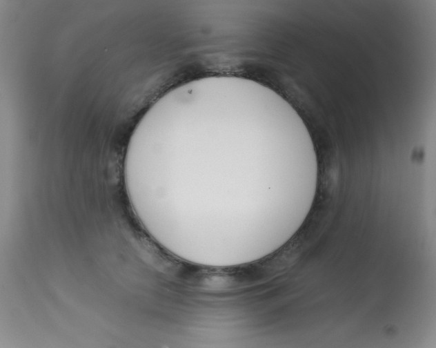 X0000113750658200910211147