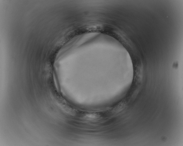 X0000113750659200910211147