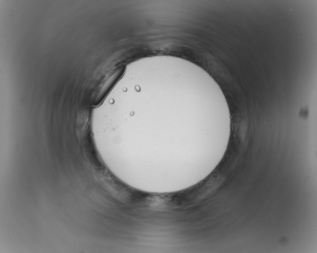 X0000113750660200910211147