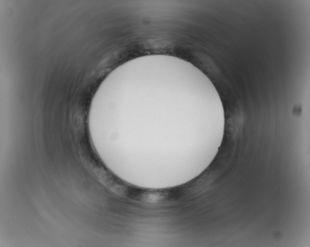 X0000113750662200910211147